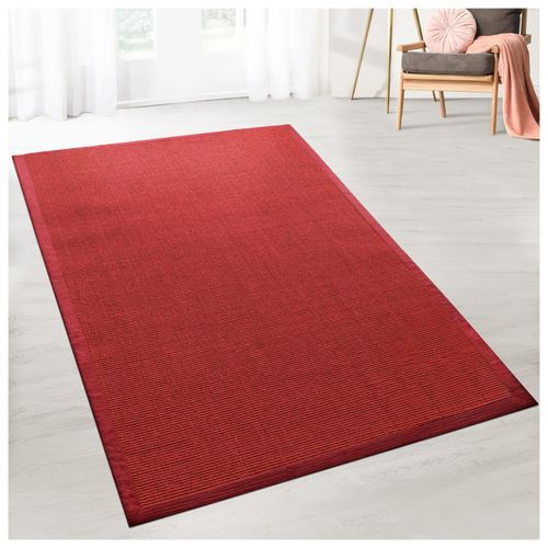 4251041682540 - Floordirekt - Sisal-Teppich Amazonas Rot Mit Bordüre 200 x 290 cm - Rot