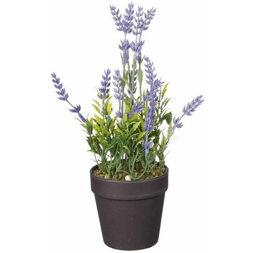 8720362272786 - - Mica künstlicher Lavendel im Topf violett 24 x 10 cm Dekoblumen