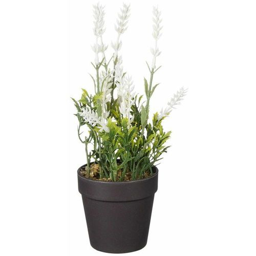 8720362272793 - - Mica künstlicher Lavendel im Topf weiß 24 x 10 cm Dekoblumen