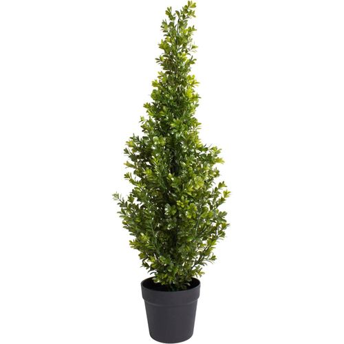 8505459122614 - Künstliche Zimmerpflanze BOTANIC-HAUS Buchsbaum im Topf grün B29cm H90cm T29cm Ø29cm Kunststoff Kunstpflanzen Künstliche Zimmerpflanze