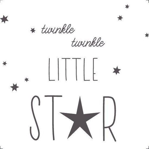 8714597585568 - Bild TWINKLE (BH 15x15 cm)