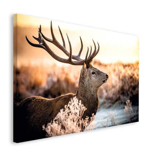 8714597508543 - Deco-Panel REINDERS Hirsch im Wald Bilder Gr B H 118 cm x 70 cm braun Kunstdrucke Bilder 11870 cm