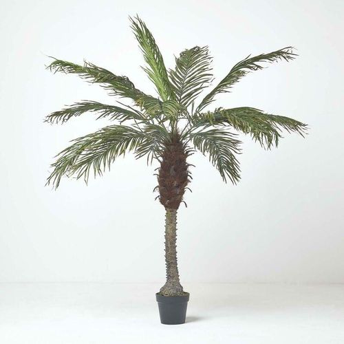 5056280717034 - Künstliche Phoenix-Palme im Topf 160 cm - Grün - Homescapes