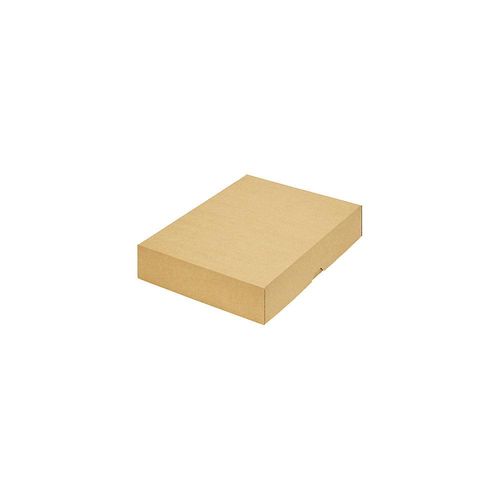4260069660584 - terra Stülpdeckelkarton zweiteilig Innenmaße 302 x 213 x 55 mm A4 braun ab 300 Stk