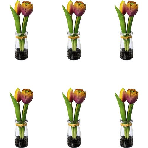 4064118139461 - Tulpen in Glasvase Höhe 210 mm VE 6 Stk mauve-gelb