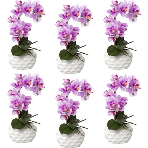 4064118889762 - Phalaenopsis real touch Höhe 330 mm VE 6 Stk Keramiktopf orchidee 4064118889762 - Phalaenopsis real touch Höhe 330 mm VE 6 Stk Keramiktopf orchidee