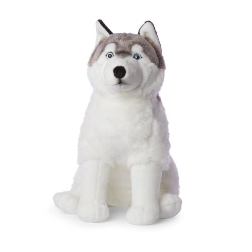 8719066011326 - - Plüschtier - Husky (sitzend 70cm) lebensecht Kuscheltier Stofftier Plüschfigur 8719066011326 - - Plüschtier - Husky (sitzend 70cm) lebensecht Kuscheltier Stofftier Plüschfigur