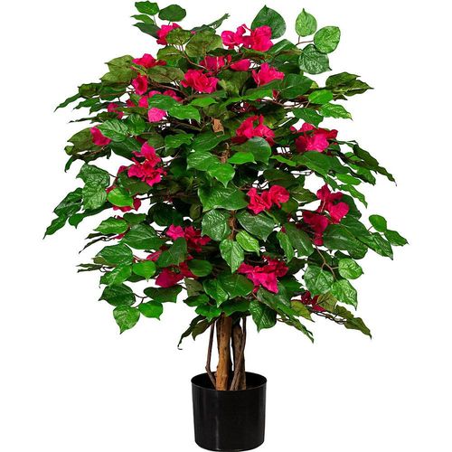 4064118075851 - Bougainvillea UV-beständig Höhe ca 1000 mm Blüten cerise 4064118075851 - Bougainvillea UV-beständig Höhe ca 1000 mm Blüten cerise
