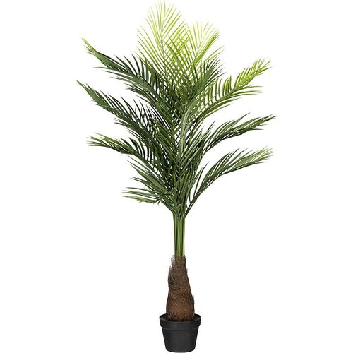 4003529917329 - Goldfruchtpalme im Kunststofftopf schwarz Höhe 1400 mm mit Erde 4003529917329 - Goldfruchtpalme im Kunststofftopf schwarz Höhe 1400 mm mit Erde