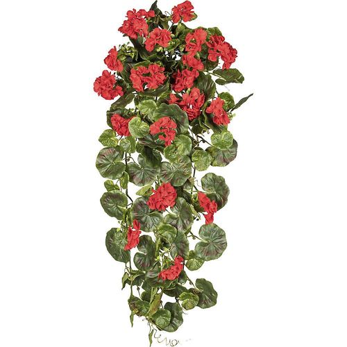 4003529258903 - Geranienhänger Höhe 800 mm UV-beständig Blüten rot kaiserkraft