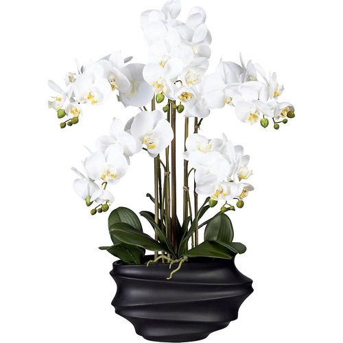 4003529918661 - Phalaenopsis real touch Höhe 750 mm weiß Kunststoffvase schwarz