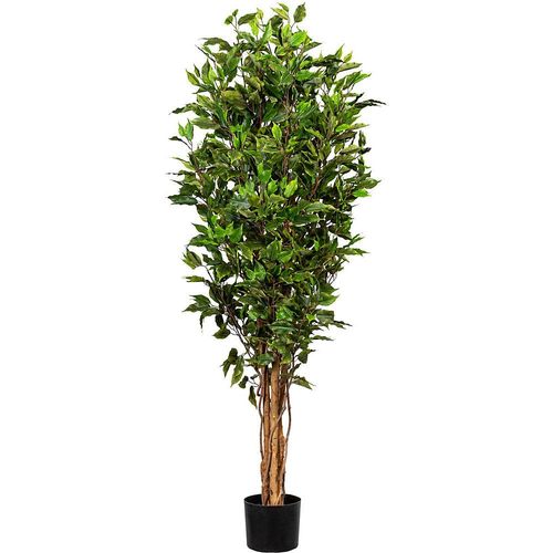 4064118075813 - Ficus benjamina Naturstamm UV-beständig Höhe ca 1500 mm kaiserkraft 4064118075813 - Ficus benjamina Naturstamm UV-beständig Höhe ca 1500 mm kaiserkraft