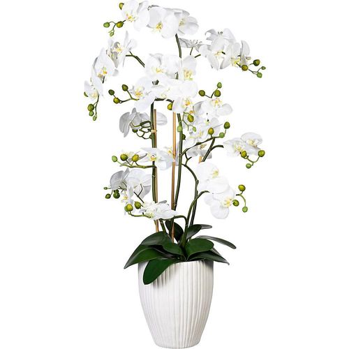 4064118078722 - Orchidee Phalaenopsis real touch in Keramikvase Höhe ca 1100 mm weiß