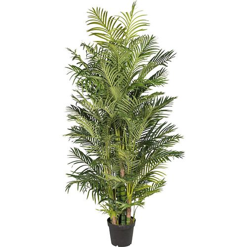 4003529240090 - Arecapalme real touch im Kunststofftopf Höhe 2200 mm 4003529240090 - Arecapalme real touch im Kunststofftopf Höhe 2200 mm