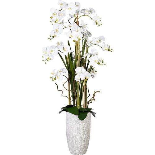 4064118078746 - Phalaenopsisarrangement in Keramikvase Höhe ca 1600 mm Blüten weiß kaiserkraft
