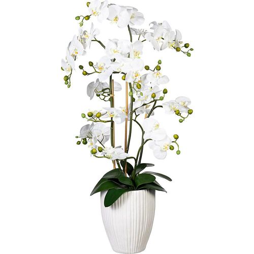 4064118078722 - Orchidee Phalaenopsis real touch in Keramikvase Höhe ca 1100 mm weiß kaiserkraft