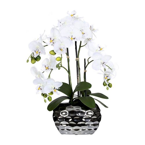 4003529703410 - Phalaenopsis in Ovalvase Höhe 550 mm Blüten weiß kaiserkraft