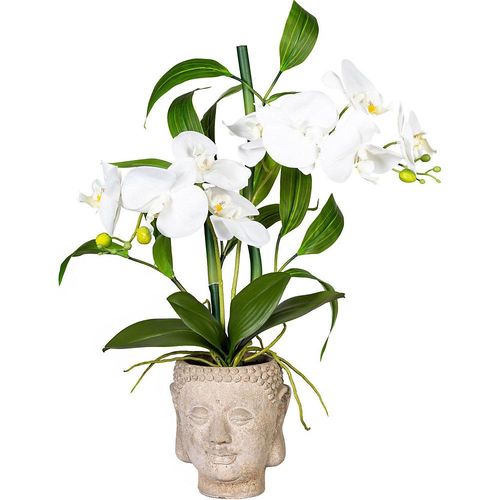 4064118076551 - Orchideen-Bambus Arrangement im Zementtopf Buddha weiß real touch Höhe ca 600 mm