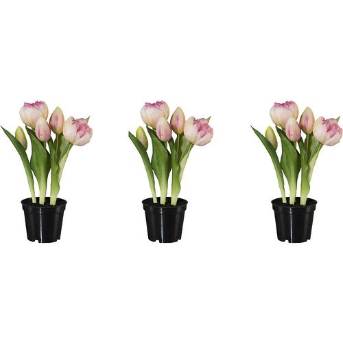 4064118139232 - Gefüllte Tulpen real touch im Topf Höhe 250 mm VE 3 Stk rosa