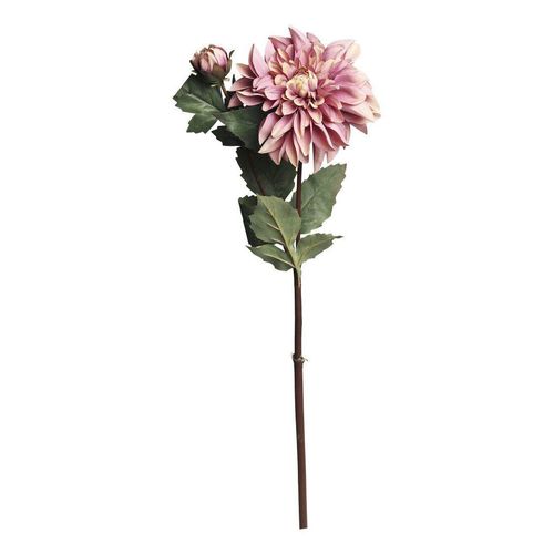 5712750359288 - Chic Antique Fleur Dahlie staubig rosa 5712750359288 - Chic Antique Fleur Dahlie staubig rosa