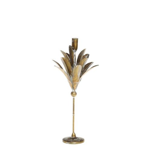5712750355938 - Chic Antique Vire Kerzenständer in Blumenform Höhe 415 Länge 17 Breite 15 cm 5712750355938 - Chic Antique Vire Kerzenständer in Blumenform Höhe 415 Länge 17 Breite 15 cm