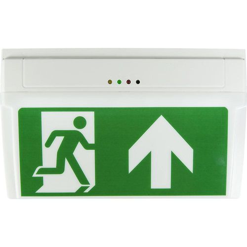 4251138213039 - B-SAFETY BR530030 LED Fluchtweg-Notbeleuchtung Deckenaufbaumontage Wandaufbaumontage Ausgang Rettungsweg rechts links 4251138213039 - B-SAFETY BR530030 LED Fluchtweg-Notbeleuchtung Deckenaufbaumontage Wandaufbaumontage Ausgang Rettungsweg rechts links