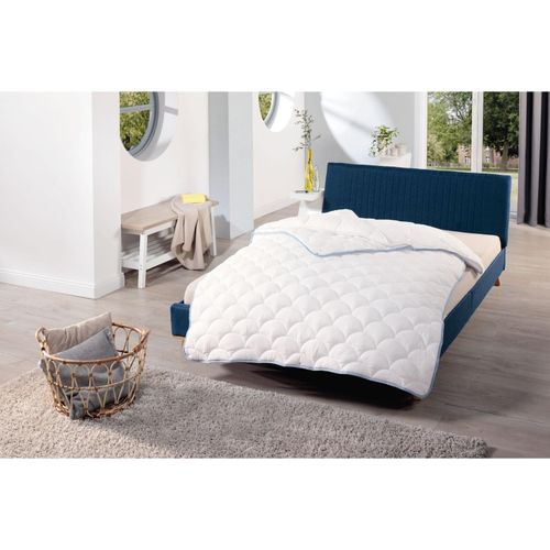 4000863651049 - Kunstfaserbettdecke SCHLAF-GUT Utah Bettdecken Gr B L 155 cm x 220 cm 4-Jahreszeiten weiß Allergiker Bettdecke