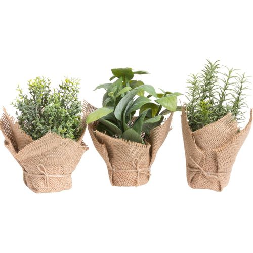 4027234882260 - Künstliche Zimmerpflanze Kräuter Kräuter Botanic-Haus Höhe 20 cm grün 4027234882260 - Künstliche Zimmerpflanze Kräuter Kräuter Botanic-Haus Höhe 20 cm grün
