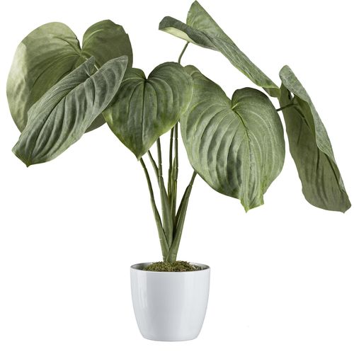 4064118137733 - Künstliche Zimmerpflanze CREATIV GREEN Hosta-Busch im Keramiktopf Kunstpflanzen Gr H 65 cm grün Künstliche Zimmerpflanzen 4064118137733 - Künstliche Zimmerpflanze CREATIV GREEN Hosta-Busch im Keramiktopf Kunstpflanzen Gr H 65 cm grün Künstliche Zimmerpflanzen