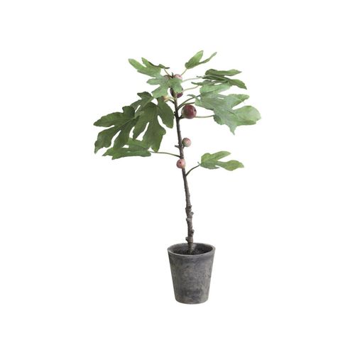 5712750196951 - Chic Antique Künstlicher Feigenbaum mit altem Übertopf 76 cm grün