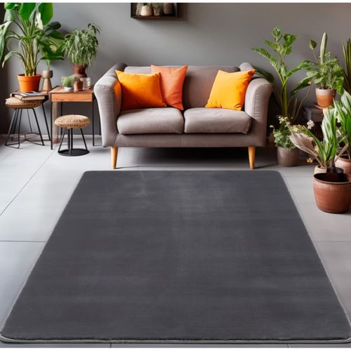 8682455395065 - Langflorteppich Unicolor - Monochrom ideal für Wohn- Ess- oder Schlafzimmer 8682455395065 - Langflorteppich Unicolor - Monochrom ideal für Wohn- Ess- oder Schlafzimmer
