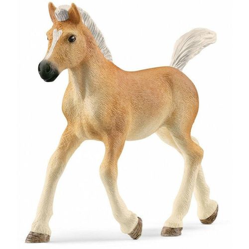 4059433557519 - Horse Club 13951 Haflinger Fohlen Spielfigur 4059433557519 Schleich 4059433557519 - Horse Club 13951 Haflinger Fohlen Spielfigur 4059433557519 Schleich