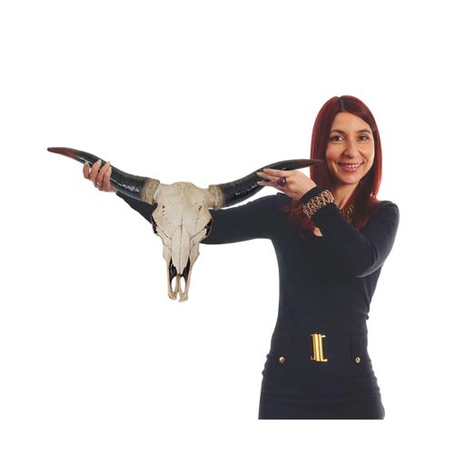 4057651206943 - Deko Schädel 75cm MCW-A14 Polyresin Stier Bulle Longhorn Kopf Trophäe In- Outdoor natur 4057651206943 - Deko Schädel 75cm MCW-A14 Polyresin Stier Bulle Longhorn Kopf Trophäe In- Outdoor natur