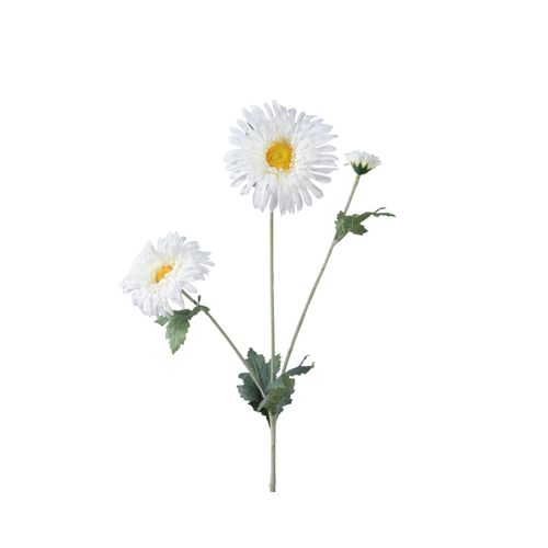 8720725781245 - Kunstblume BLOOM weiss (LBH 5x5x68 cm) 8720725781245 - Kunstblume BLOOM weiss (LBH 5x5x68 cm)