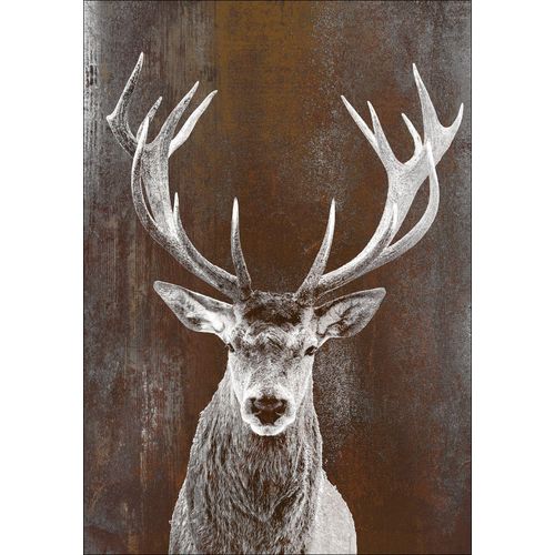 4019449472305 - PRO ART Aludibondbild BROWNDEER II (BHT 98x70x110 cm) BHT 98x70x110 cm bunt Alubild Metallbild