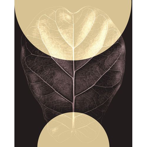 4055065176906 - Wandbild »Shadow Theatre« (1 St) Deutsches Premium-Poster Fotopapier mit seidenmatter Oberfläche und hoher Lichtbeständigkeit Für fotorealistische Drucke mit gestochen scharfen Details und hervorragender Farbbrillanz