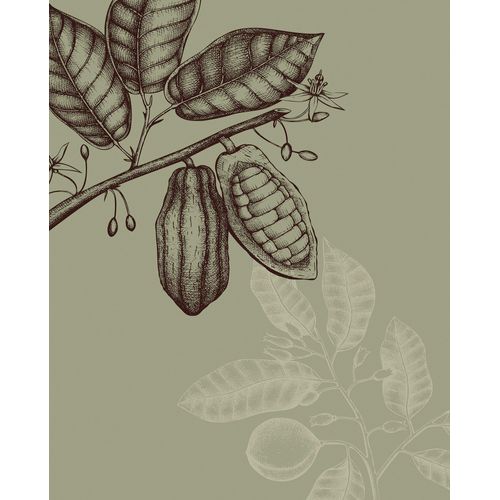 4055065177118 - Wandbild »Wild Cocoa« (1 St) Deutsches Premium-Poster Fotopapier mit seidenmatter Oberfläche und hoher Lichtbeständigkeit Für fotorealistische Drucke mit gestochen scharfen Details und hervorragender Farbbrillanz 4055065177118 - Wandbild »Wild Cocoa« (1 St) Deutsches Premium-Poster Fotopapier mit seidenmatter Oberfläche und hoher Lichtbeständigkeit Für fotorealistische Drucke mit gestochen scharfen Details und hervorragender Farbbrillanz