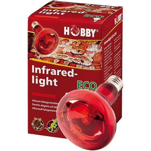 4011444375827 - Hobby - Infraredlight Eco Infrarot-Halogenstrahler - 42W