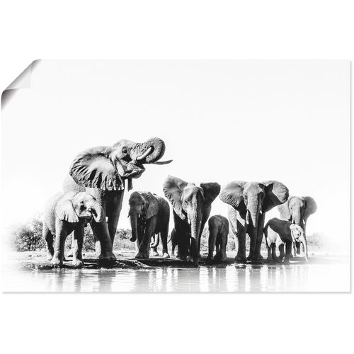 4062144586204 - Wandbild ARTLAND Elefanten am Wasserloch Bilder Gr B H 30 cm x 20 cm Poster Elefanten Bilder Querformat 1 St schwarz Kunstdrucke als Alubild Leinwandbild Wandaufkleber oder Poster in versch Größen