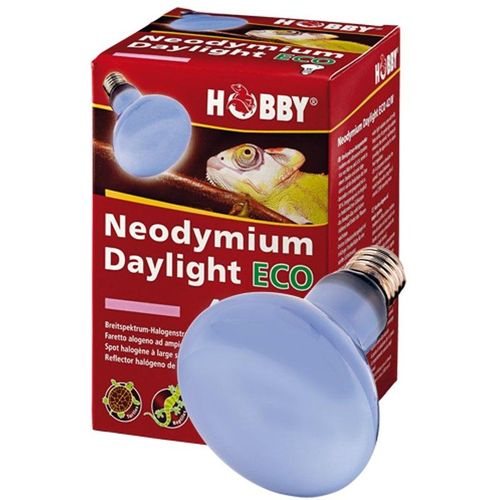 4011444375520 - Hobby - Neodymium Daylight Eco Tageslicht-Halogenstrahler - 42W