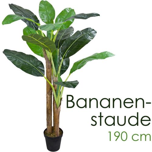 4260360536915 - Bananenbaum Bananenstaude Kunstpflanze Künstliche Pflanze 190 cm Kunstblume Innendekoration Kunst Pflanze wie echt im Topf Decovego 4260360536915 - Bananenbaum Bananenstaude Kunstpflanze Künstliche Pflanze 190 cm Kunstblume Innendekoration Kunst Pflanze wie echt im Topf Decovego