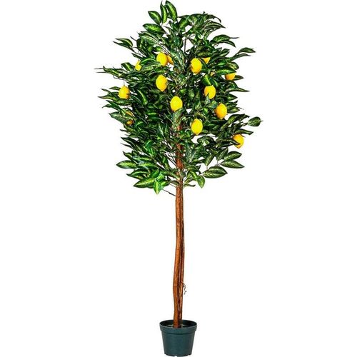 4048821005169 - Plantasia - Zitronenbaum Kunstpflanze Kunstbaum 180cm