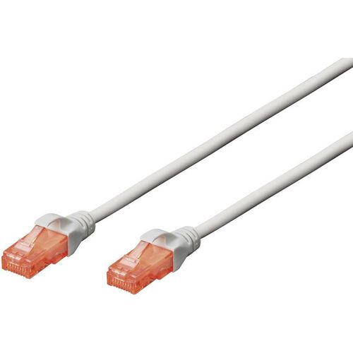 4016032372042 - DK-1612-050 RJ45 Netzwerkkabel Patchkabel cat 6 u utp 500 m Grau verdrillte Paare 1 St - Digitus