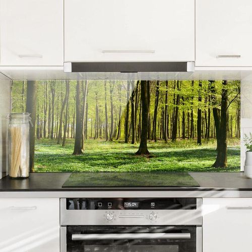 4055957669653 - Micasia - Spritzschutz Glas - Waldwiese - Panorama Quer Größe HxB 40cm x 100cm