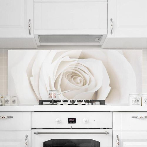 4055957668748 - Micasia - Spritzschutz Glas - Pretty White Rose - Panorama Quer Größe HxB 50cm x 125cm