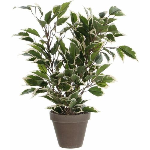 8712293303066 - Mica Decorations - Mica Kunstpflanze Ficus Natasja grün bunt im Topf 40 x 30 cm Kunstpflanzen 8712293303066 - Mica Decorations - Mica Kunstpflanze Ficus Natasja grün bunt im Topf 40 x 30 cm Kunstpflanzen