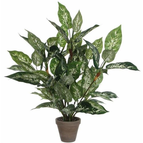 8712293332523 - Dekorative Pflanze Glimmerdekorationen Dieffenbachia Dieffenbachia Green PVC (157 x 70 cm)