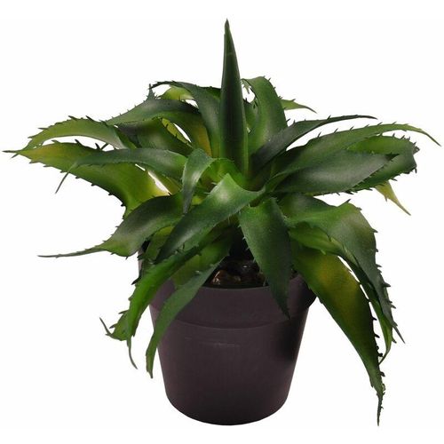 4250407315740 - Buri - Künstliche Aloe Vera 18cm im Blumentopf Kunstpflanze Zimmerpflanze Dekopflanze