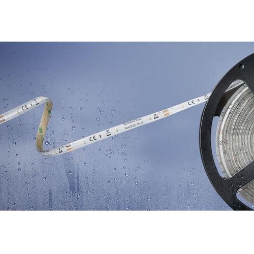 4021553096742 - 51540428 51540428 LED-Streifen mit offenem Kabelende 12 v 5 m Warmweiß 1 St - Barthelme Basic