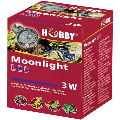 4011444375957 - Hobby Moonlight LED - Mondlicht Strahler 1 St